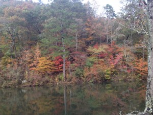 Picturesque Dream Ranch Pond