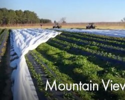 The Land Show Vlog – 3/2/2016