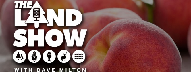 The Land Show Episode 23