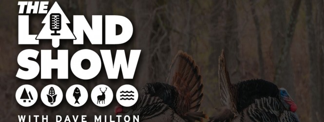 The Land Show Episode 28