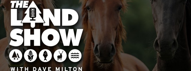 The Land Show Episode 29
