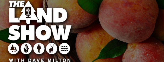 The Land Show Episode 32