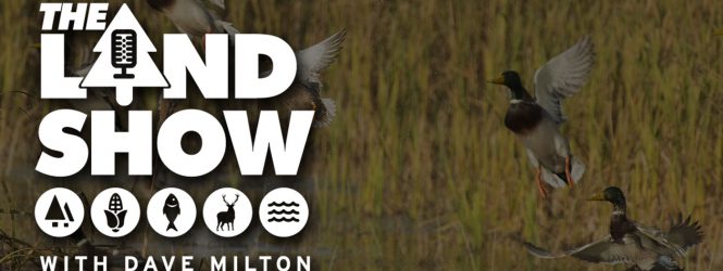 The Land Show Episode 33