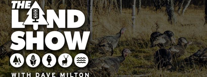 The Land Show Episode 35