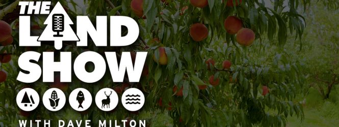 The Land Show Episode 36