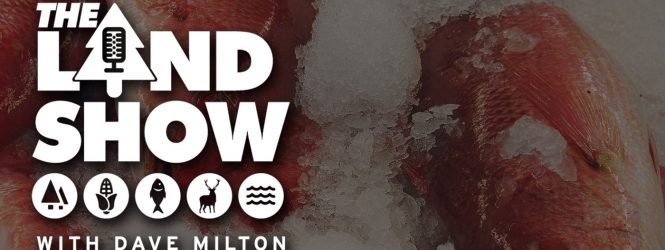 The Land Show Episode 38