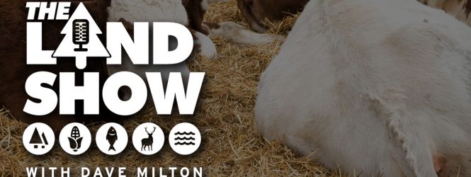 The Land Show Episode 44
