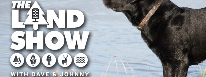 The Land Show Episode 100